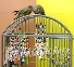 Parrot Cages - high quality - Parrot Park Bochum
