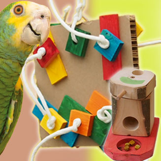 Papageienspielzeug