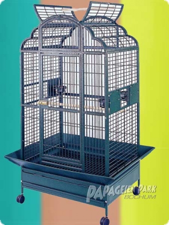Parrot aviary Rimino