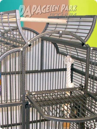 Parrot aviary Rimino