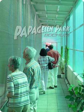 Parrot Park exclusively experience guided tour