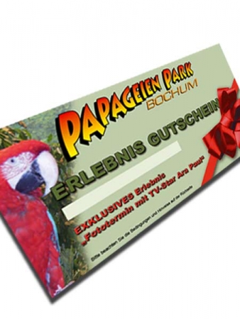 Photo shooting with TV star macaw 