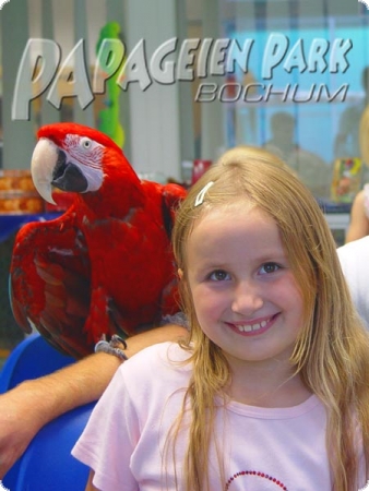 Photo shooting with TV star macaw 