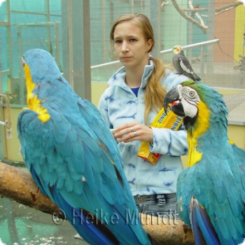 Visit Parrot Park residence (200 m2 aviary)