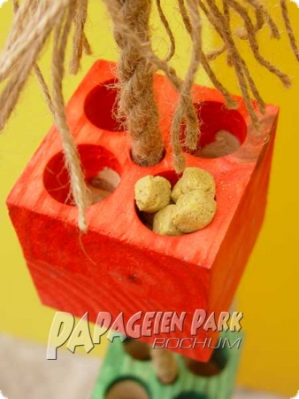 Foraging cubes - medium