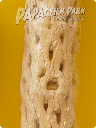 Perch with screw mount color sand - three sizes