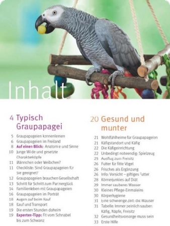 African Gray Parrots - Graupapageien - Hildegard Niemann