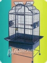 Parrot aviary Allegri