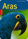 Aras - Lars Lepperhoff