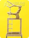 Wooden  playground LT-Man 129
