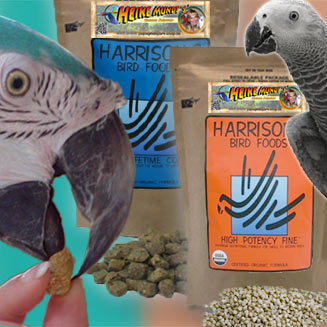 Parrot nutrition