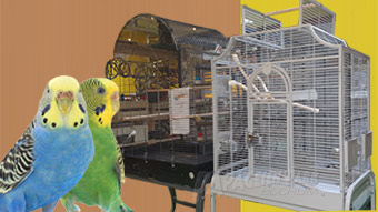 Parakeet cages