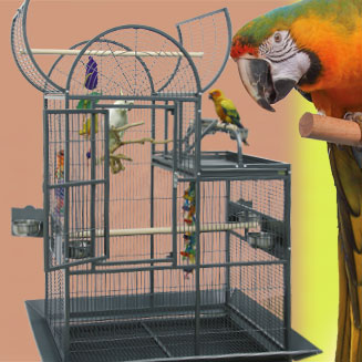 Aviaries & cages