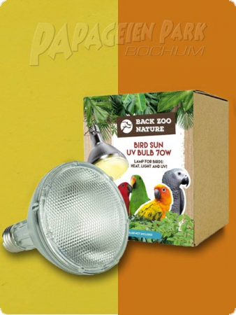 Wontee Edelstahl Vogelsitzstange Für Papageien & Sittiche – Robust & Sicher In Größe M (25x2,5 Cm)