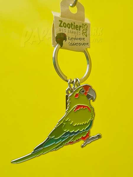 Key ring red cheeked macaw 9cm