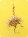 Heike Nature line hanging toy coconut Hippie II