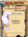 Spende/Patenschaft f&uuml;r Goffinkakadu LOLA 12 Monate