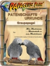 Spende/Patenschaft Graupapagei EGON PAUL 12 Monate