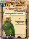 Spende/Patenschaft Doppelgelbkopf-Amazone FLORIAN 12 Monate