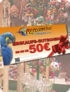 Voucher 50Euro